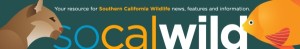 (s) so_cal_wild_1d